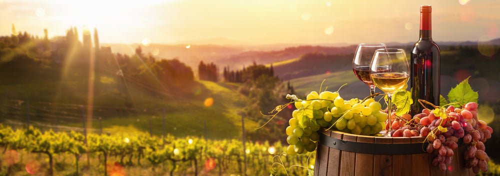Wine Making Kits - Blind Pig Drinking Co.
